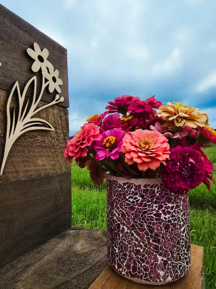 August CSA Flower Share (6-Weeks)